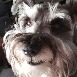 Meet your Posher, Deb